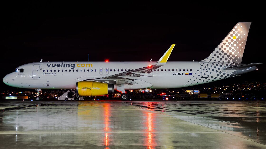 Flight VY 1866 from BARCELONA Stuttgart Airport